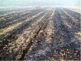 生態環境部通報4市大氣污染防治不力問題問責情況