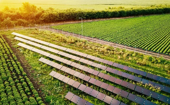 克羅地亞：太陽能農(nóng)場生產(chǎn)動力和食物