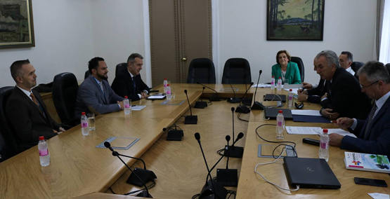 能源部考慮放寬新電動(dòng)汽車進(jìn)口