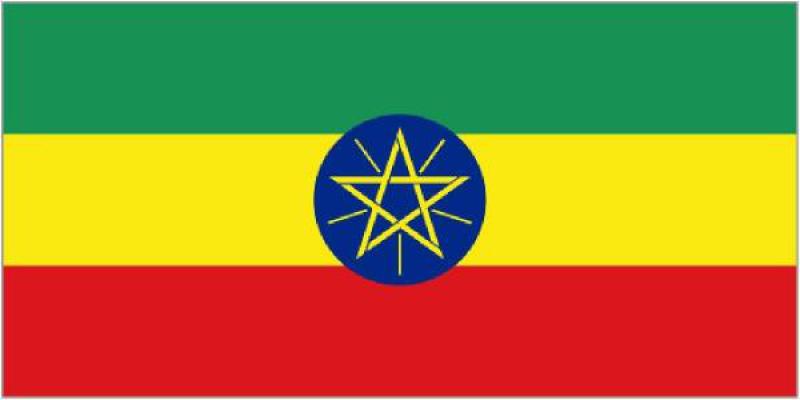 埃塞俄比亞能源概況：太陽能及最佳實(shí)踐案例