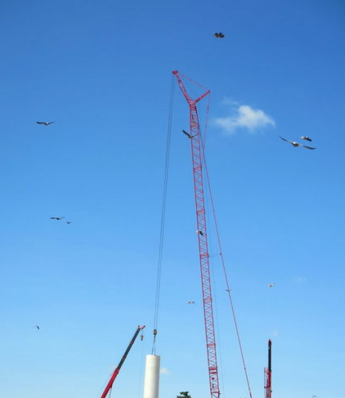 非洲第一大風(fēng)電場阿達(dá)瑪風(fēng)電場