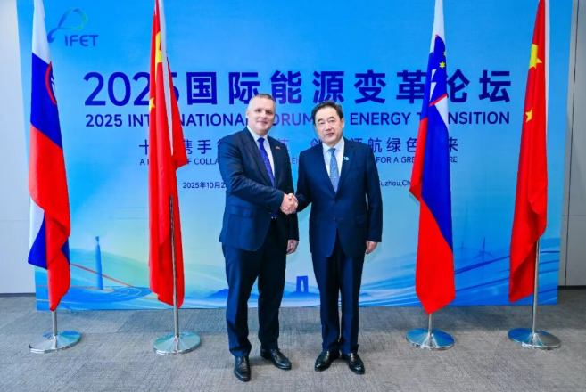 國家能源局主要負責人會見斯洛文尼亞環境、氣候和能源部部長